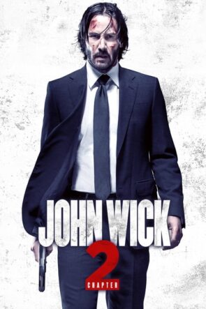 John Wick: Chapter 2 (2017)